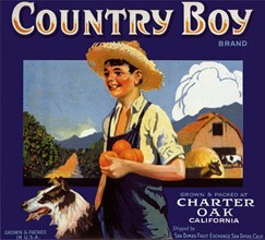 Country Boy with Oranges