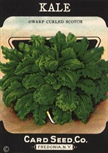 Kale Seed Packet