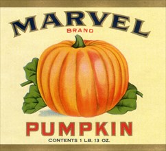 Pumpkin Vegetable Label