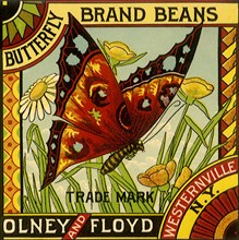 Butterfly Bean Label