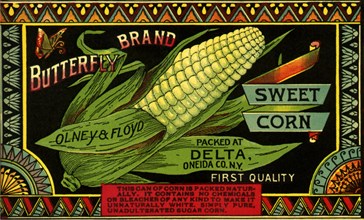 Sweet Corn Veg Label
