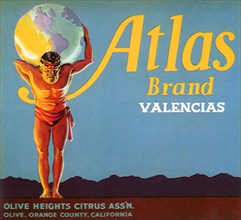 Atlas Brand
