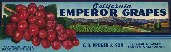 California Emperor Grapes