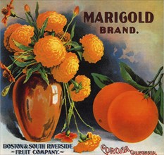 Marigold Brand