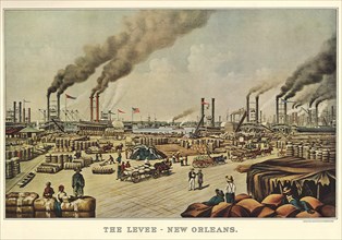 The Levee - New Orleans