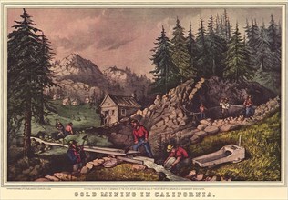 Gold Mining in California