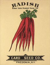 Radish Seed Packet