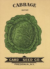 Cabbage Seed Packet