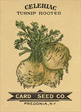 Celeriac Seed Packet