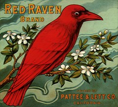 Red Raven Fruit Label