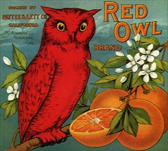 Red Owl Fruit Label