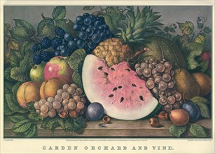 Garden Orchard And Vine