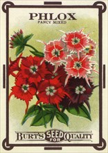 Floral Seed Packet