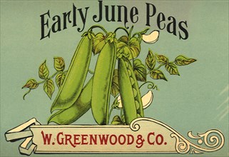 Peas in Pods Label