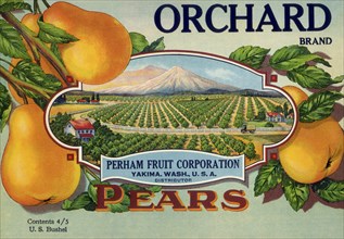 Pear Orchard Label