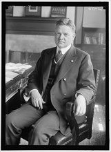 Portrait of Herbert Hoover (1874-1964), future President of the United States, during his tenure as head of the U.S. Food Administration. 1917.
