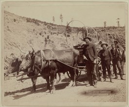 1889 - Prospectors going to the gold fields.