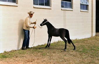 1960 Ft. Worth Stock Show - Trainer with a young foal at the stock show in Fort Worth.