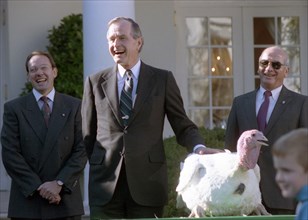 President Bush participates in the presentation and pardoning of the National Thanksgiving Turkey in the Rose Garden of the White House.  His grandson, Sam Leblond, pets the turkey during the ceremony...