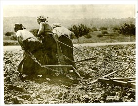 Heroic Women Of France, Three French Women Pulling a Plow 1917-1919.
