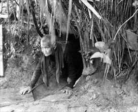 A Vietnamese woman emerges from a tunnel after hiding from 'C' Company, 2/8th Cavalry, 1st Cavalry Division circa 9/25/1966.