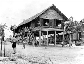 Sleeping Quarters in a Japanese Labor Camp in Seletar, Singapore circa 9/1945.
