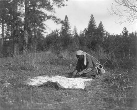 Edward S. Curits Native American Indians - Woman kneeling on ground, blanket spread out and covered with roots circa 1909 or 1910.