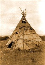 Edward S. Curits Native American Indians - Photograph shows reed mat covered tepee in grassy field, Washington circa 1910.