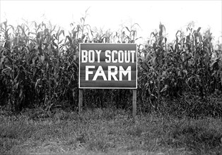 Boy Scout Farm sign circa 1917.