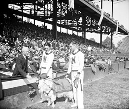 Charles F. Adams greeting Navy goat from stands circa 1931.