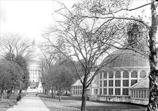 Building at Washington D.C. Botanical Gardens circa 1917.