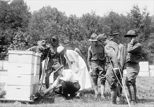 Beekeeping demonstration and instruction for wounded soldiers circa 1919 .