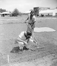 Department of Agriculture experts test power of gas to keep weeds out of golf greens circa 1938.