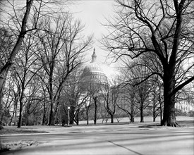 U.S. Capitol building seen through barren trees circa 1939.