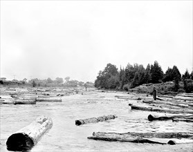 Side Jams Moira River, 1907.