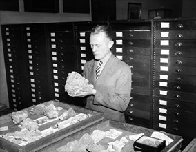 Man examining rock specimens circa 1936.