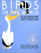 Birds of the world An illustrated natural history in popular style with 100 candid photos : A New York City, W.P.A. Federal Writers' Project book : American guide series. circa 1939.