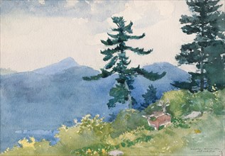 1892 Art Work -  North Woods Club; Adirondacks (The Interrupted Tete-a-Tete) - Winslow Homer.