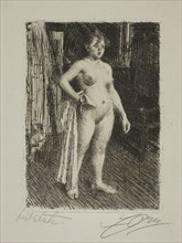 1893 Art Work -  Venus de la Villette Anders Zorn.