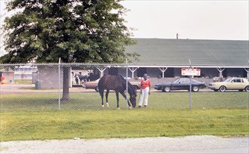 Horse grazing on grass at Churchill Downs circa 1985.