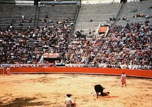 Half filled stadium of spectators watch a bull fight in Mexico circa 1950-1955.