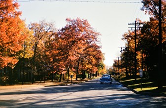 Car on a road surrounded by trees in autumn in or near Des Plaines, IL circa 1950.