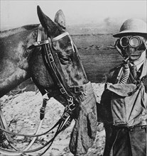 Gas Masks for Man and Horse