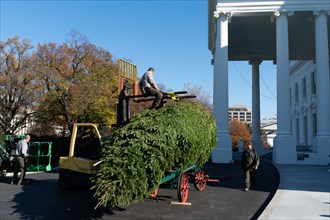The 2019 White House Christmas Tree arrives Monday