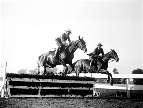 Horse jumping at equestrian event