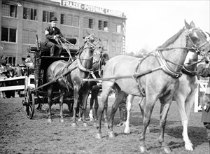 Adolphus Busch III at a horse show