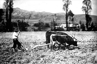 A farmer plowing a field in the Peruvian countryside