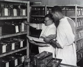 Men and laboratory examining animal cages