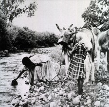A woman pulls water from a stream