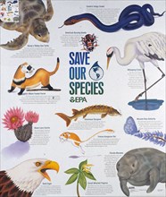 ca. 1994 - Save our species EPA Poster.